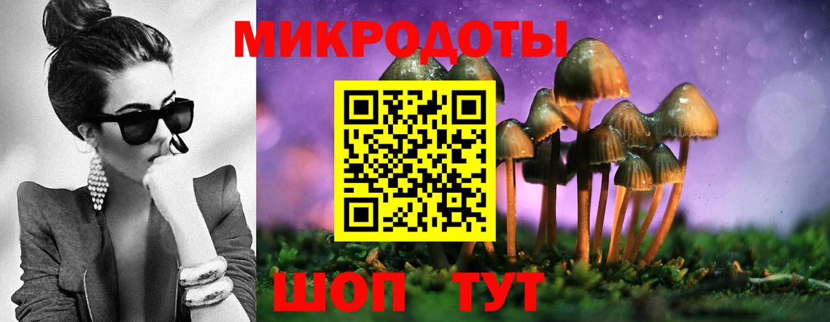 Галлюциногенные грибы мицелий Карасук
