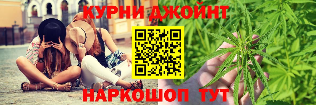 Каннабис сатива Карасук