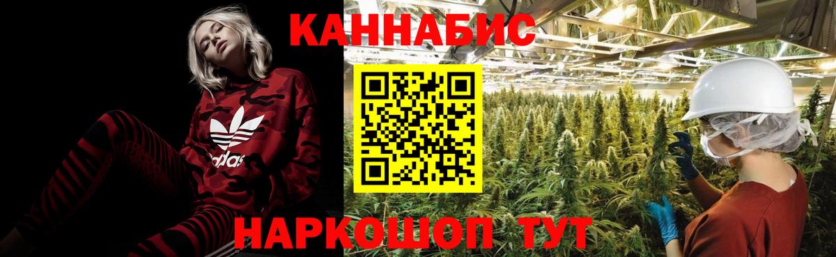 Бошки марихуана THC 21%  МАРИХУАНА Amnesia  Карасук  Каннабис семена  Вход с VPN 